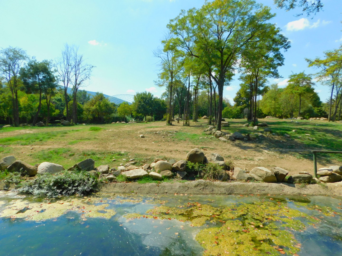 Part of the Savanna Area