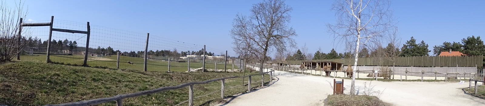 Part of the savannah and camel enclosures