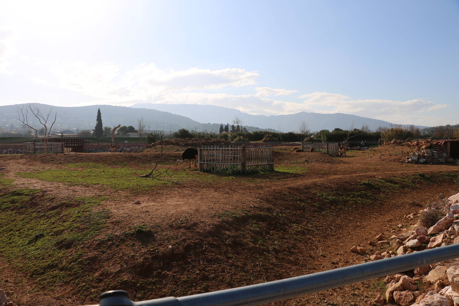 Part of the savannah complex, February 2016