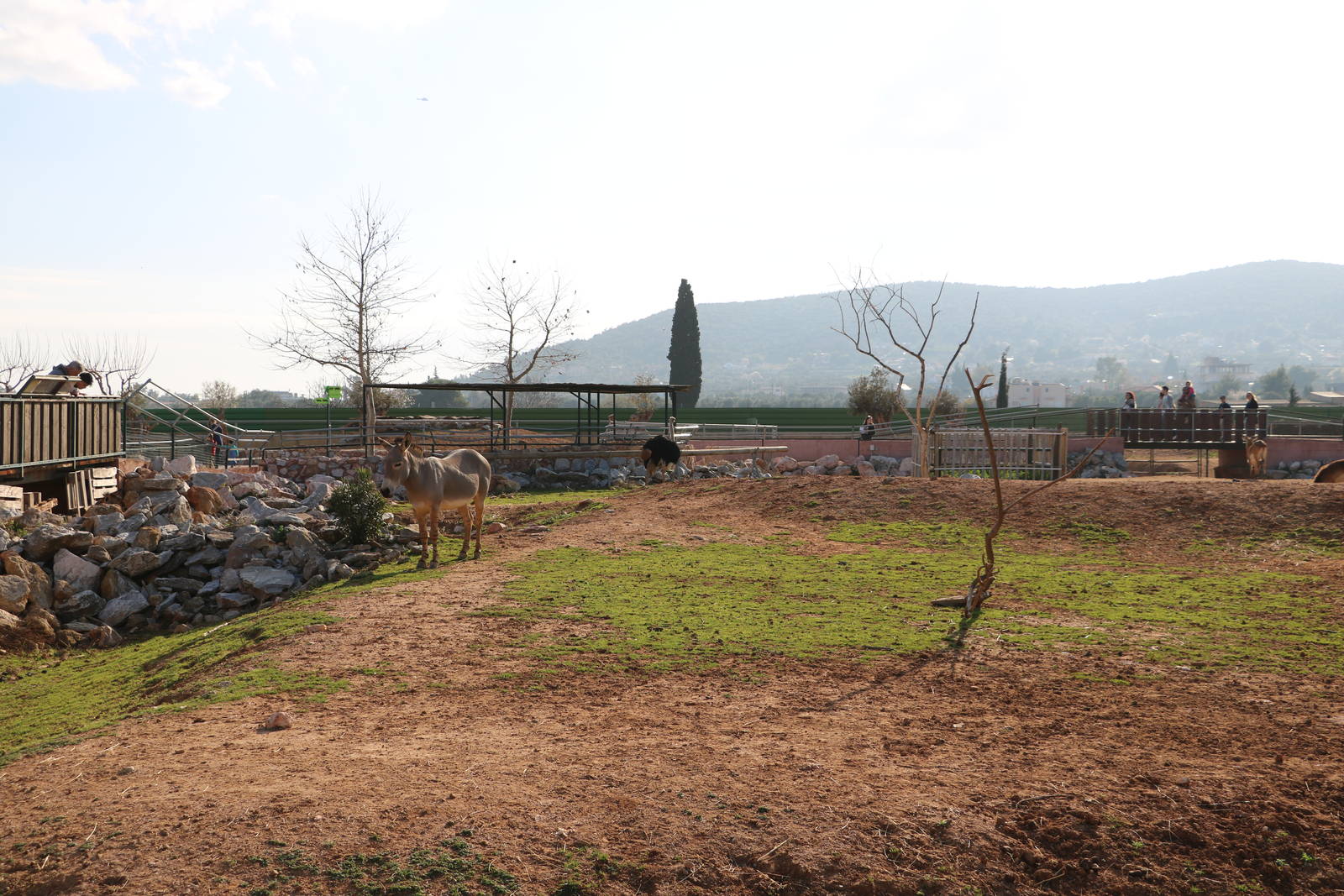 Part of the savannah complex, February 2016