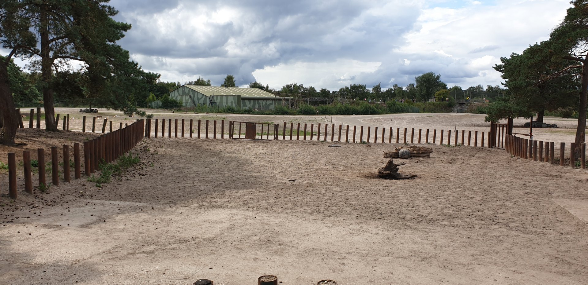 Part of the Savannah