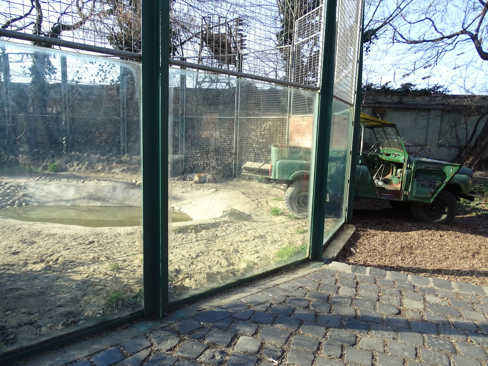 Part of the Siberian tiger enclosure