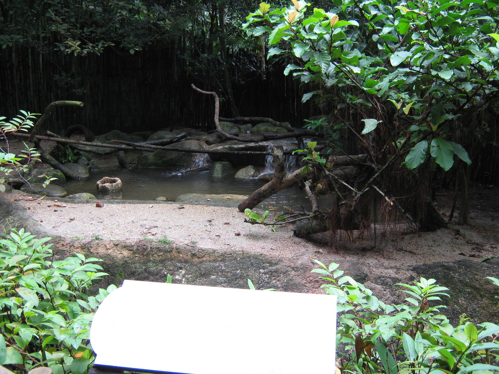 part of the small-clawed otter enclosure