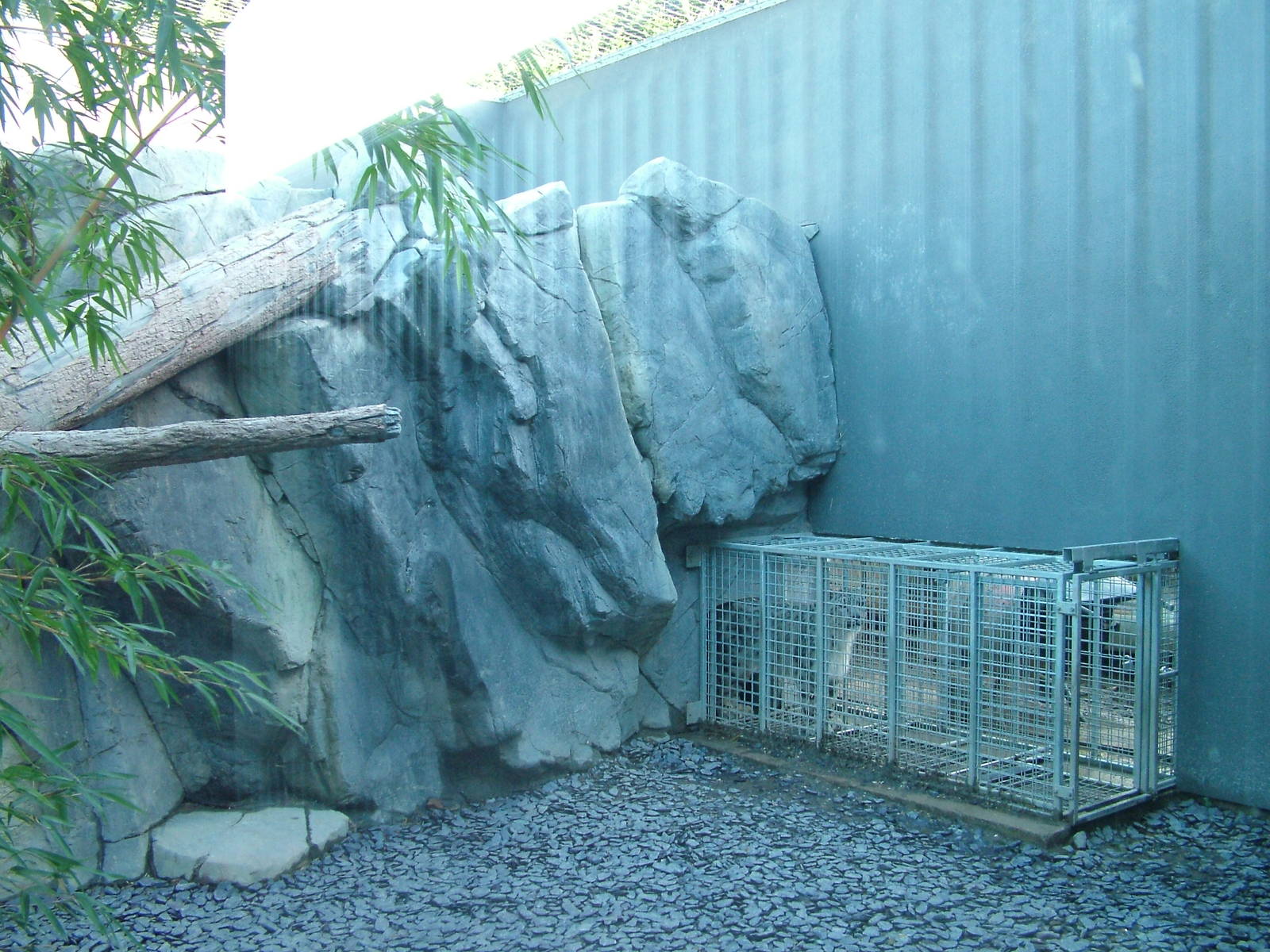 Part of the Snow Leopard exhibit at the RSCC 28/11/09
