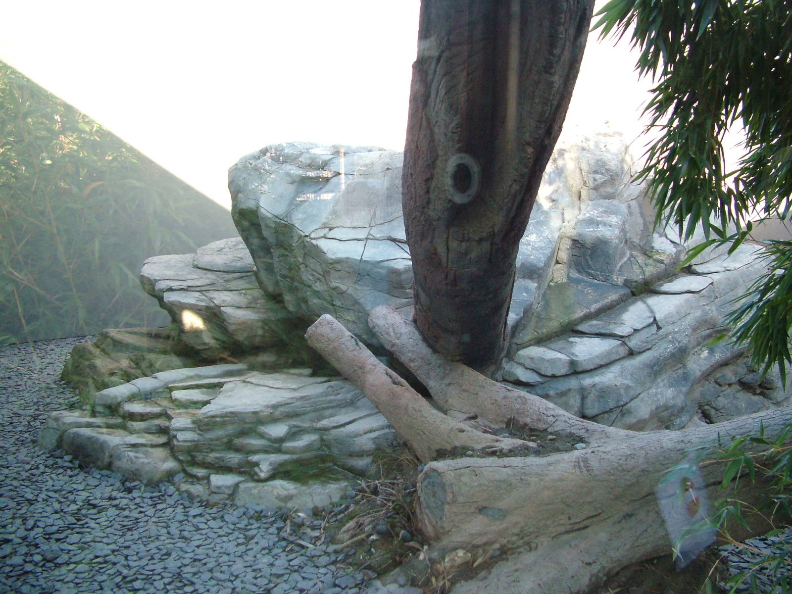 Part of the Snow Leopard exhibit at the RSCC 28/11/09