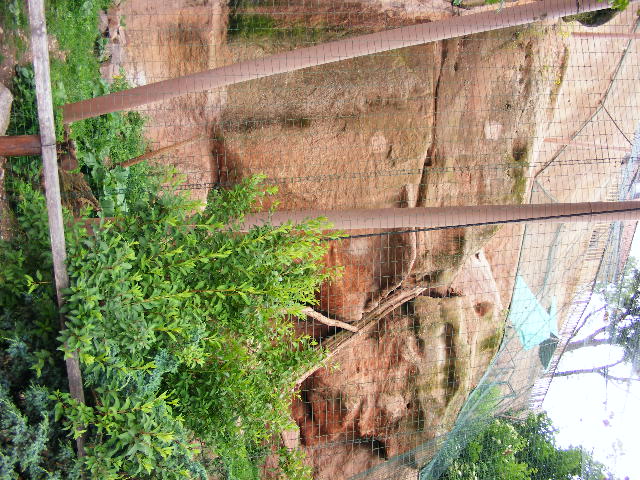 part of the snowleopard exhibit