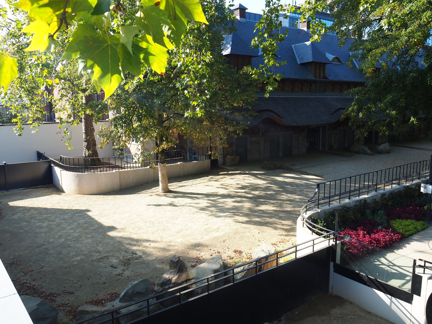 Part of the Southern white rhinoceros paddock with future connection to the giraffe/zebra area, 2020-09-20