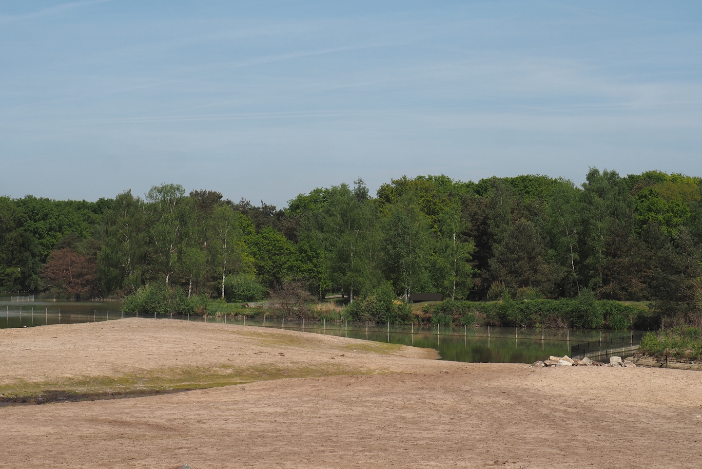 Part of the Southern white rhinoceros plains, with the now gone cheetah drive-through exhibit behind it, 2025-04-30