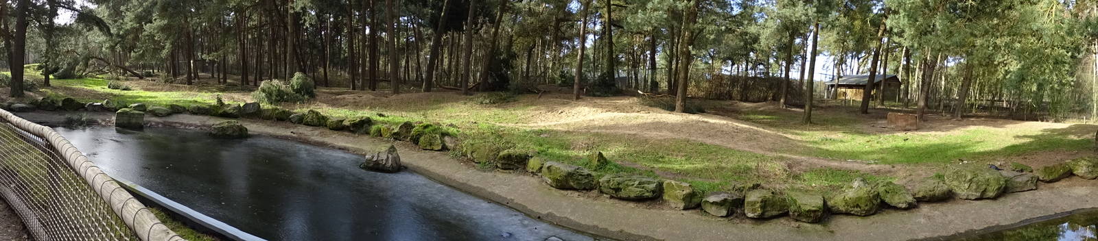 Part of the spotted hyena enclosure