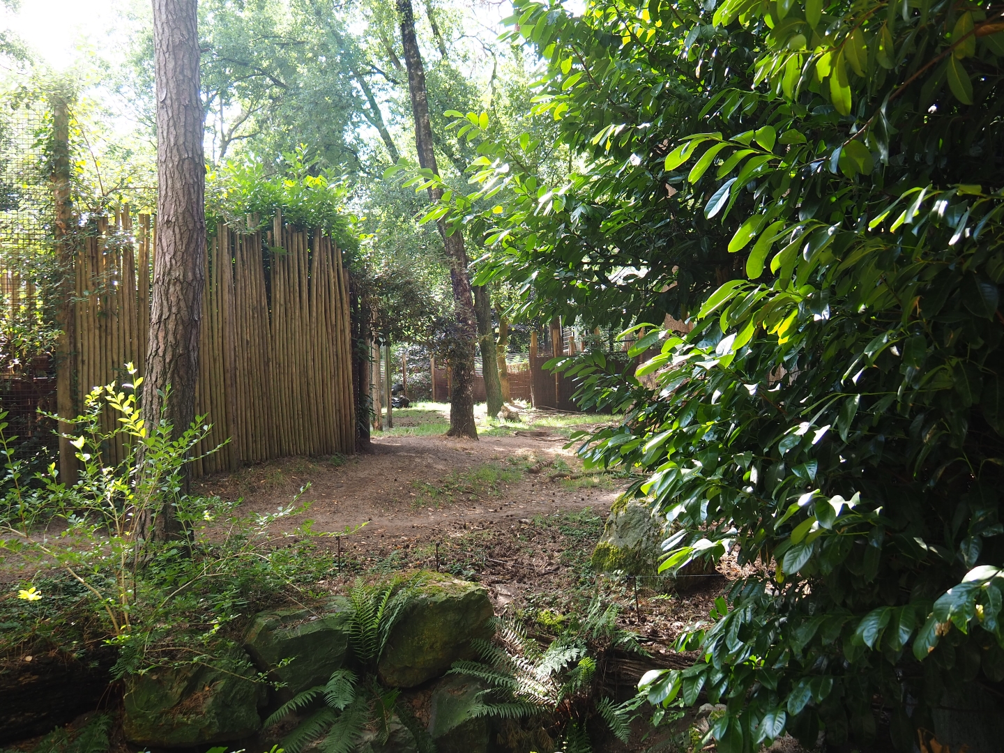Part of the spotted hyena exhibit