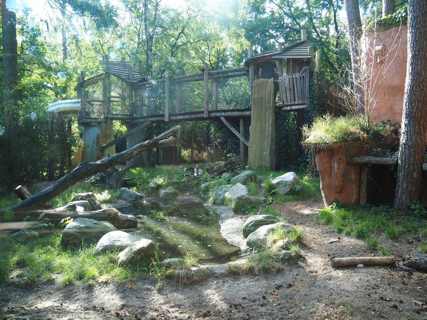 Part of the spotted hyena exhibit