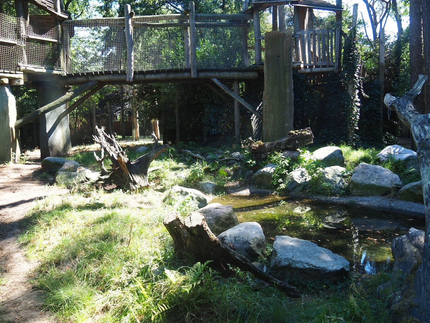 Part of the spotted hyena exhibit