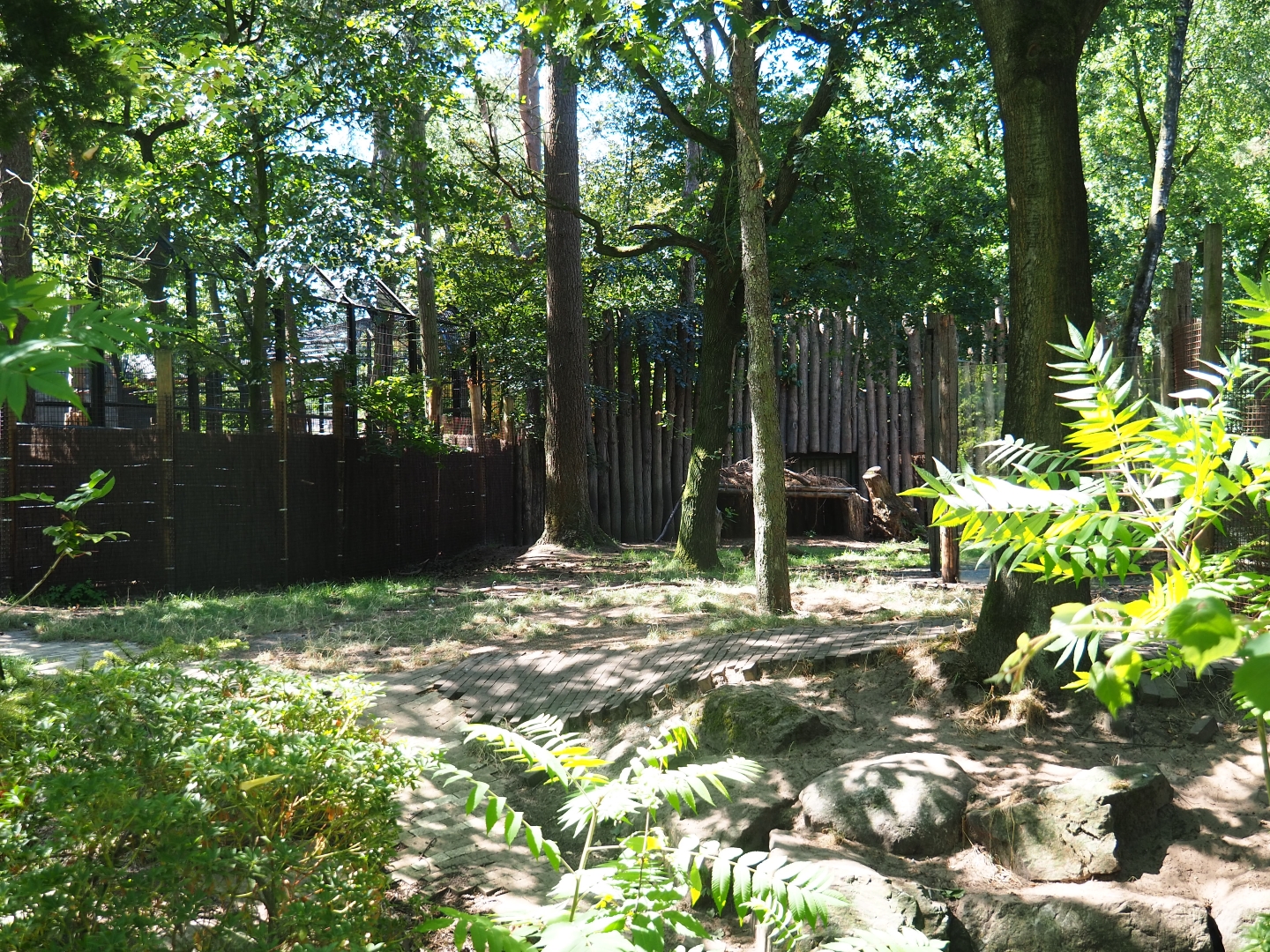 Part of the spotted hyena exhibit