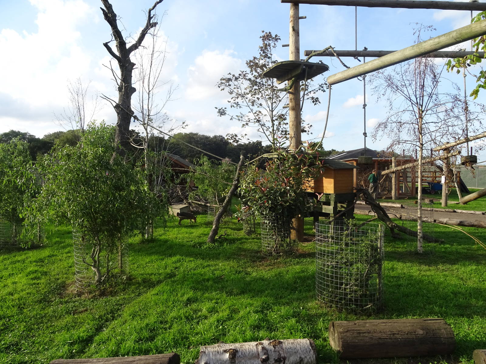 Part of the Squirrel Monkey Climbing Structure at Yorkshire Wildlife Park