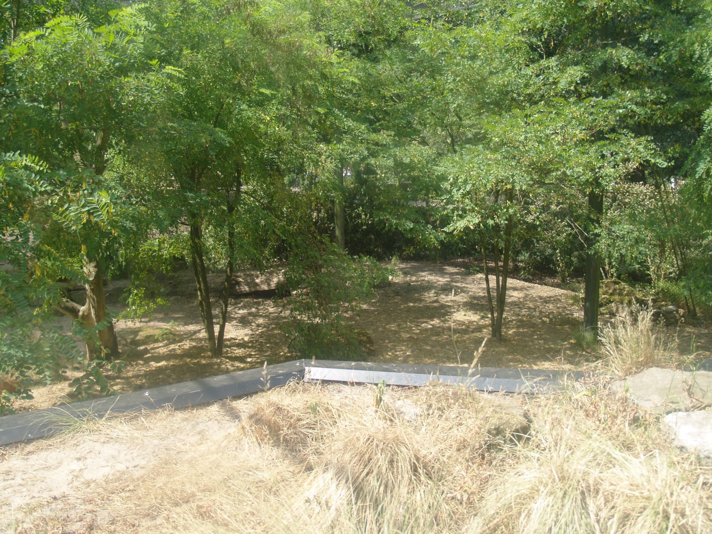 Part of the Sri Lankan leopard exhibit, 2006-07-08