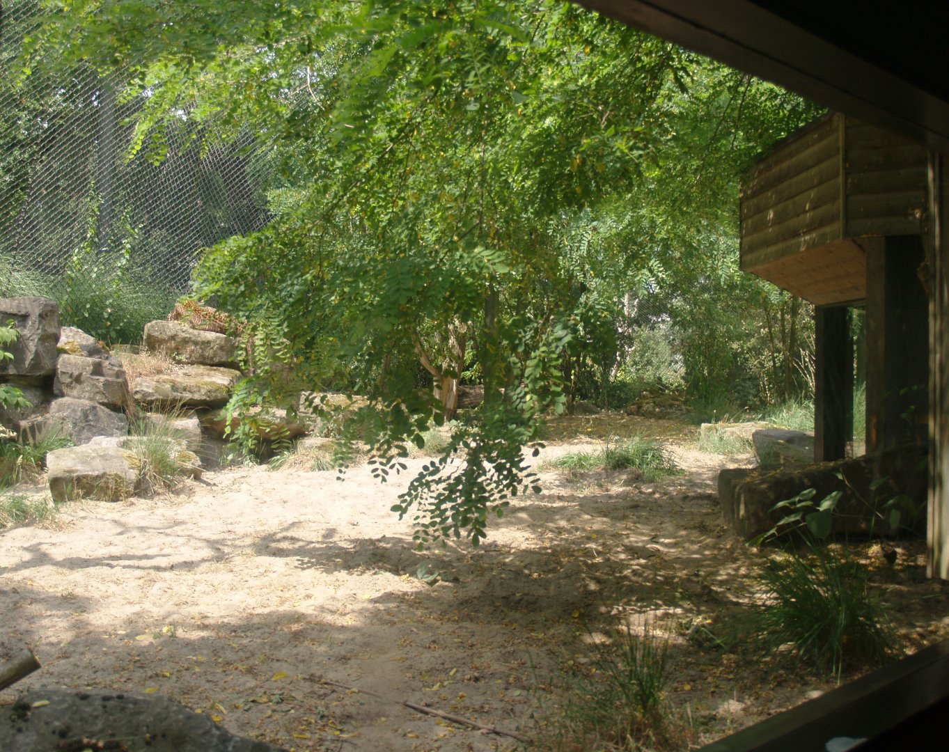 Part of the Sri Lankan leopard exhibit and part of the visitor tunnel underneath the exhibit, 2006-07-08