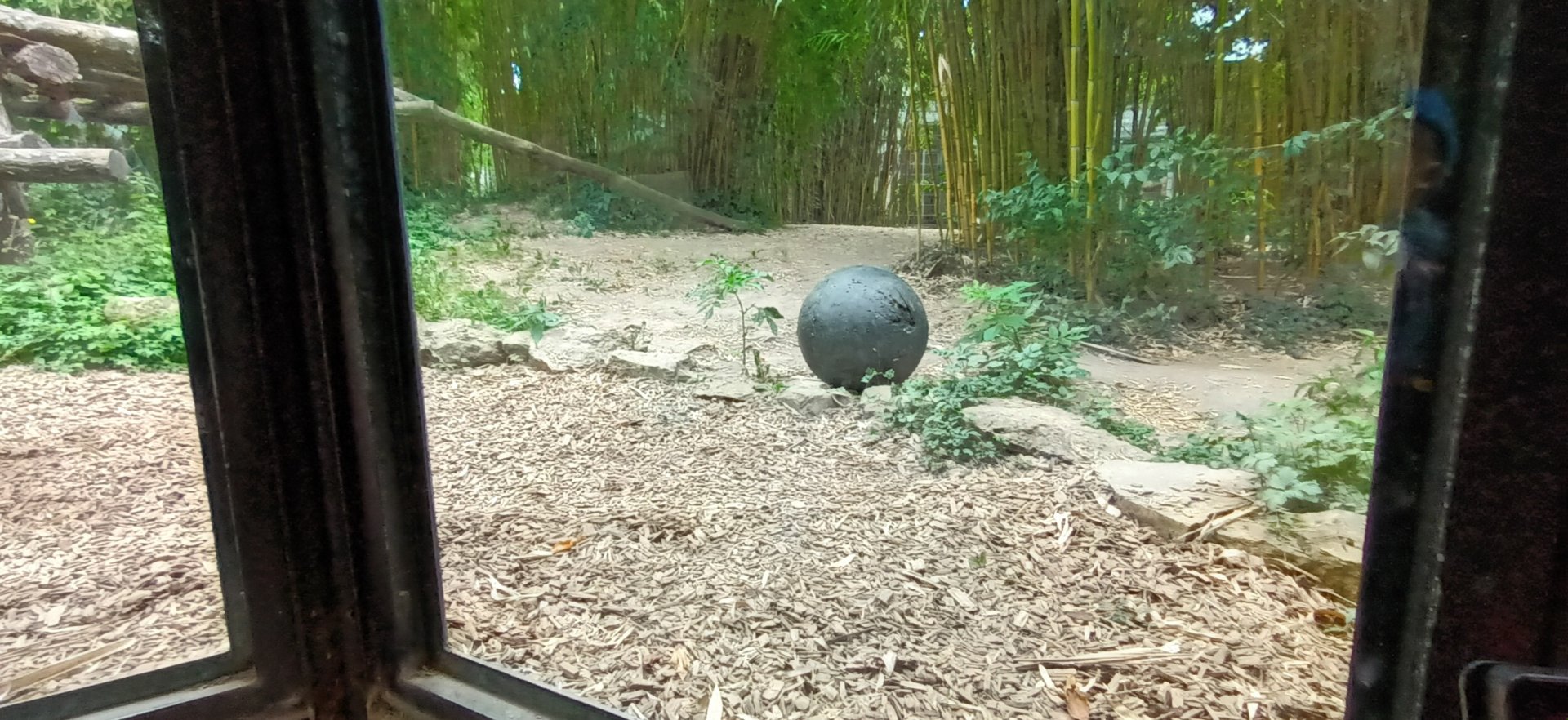 part of the Sumatran Tiger outdoor Enclosure