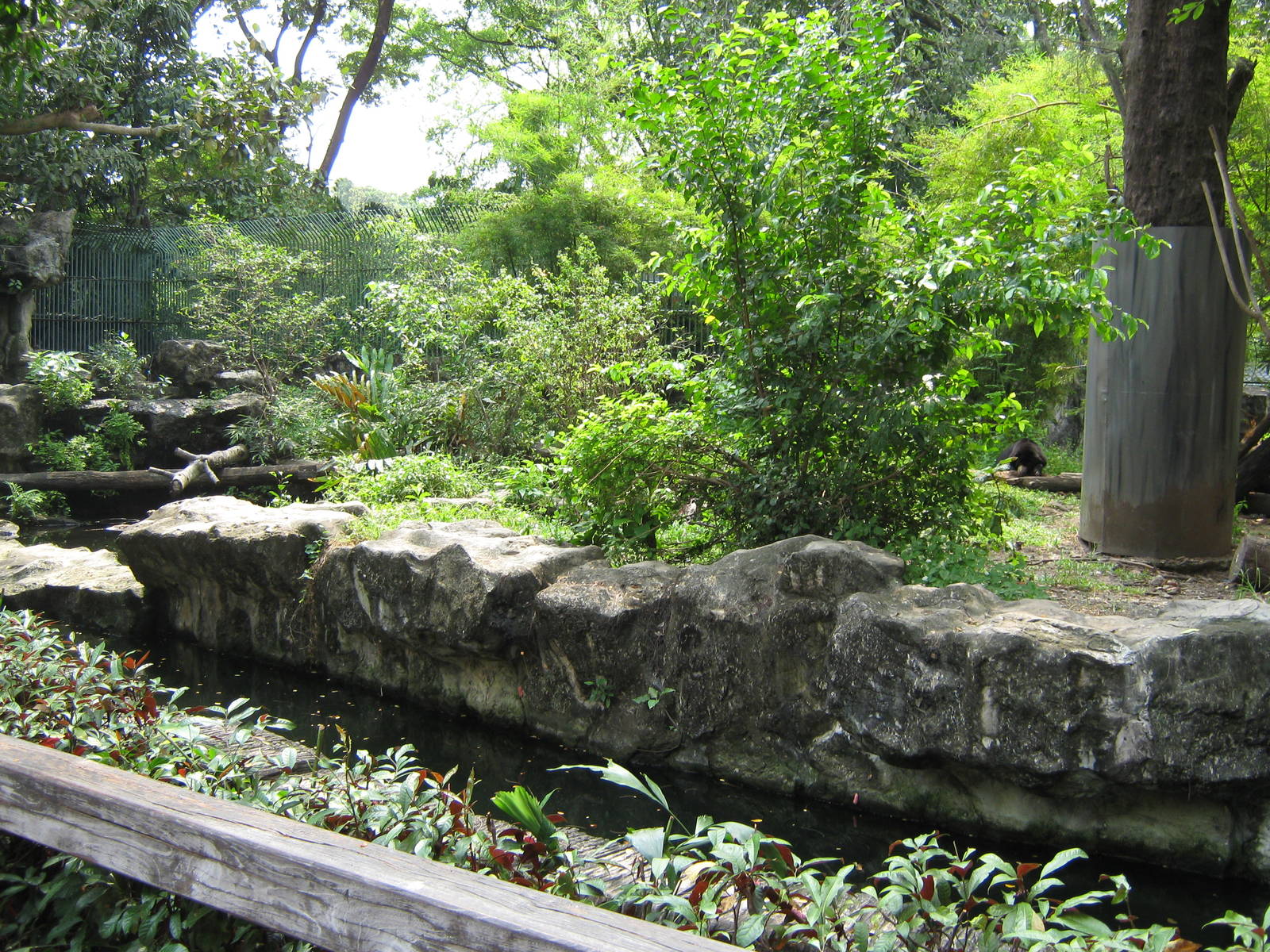 part of the sun bear enclosure