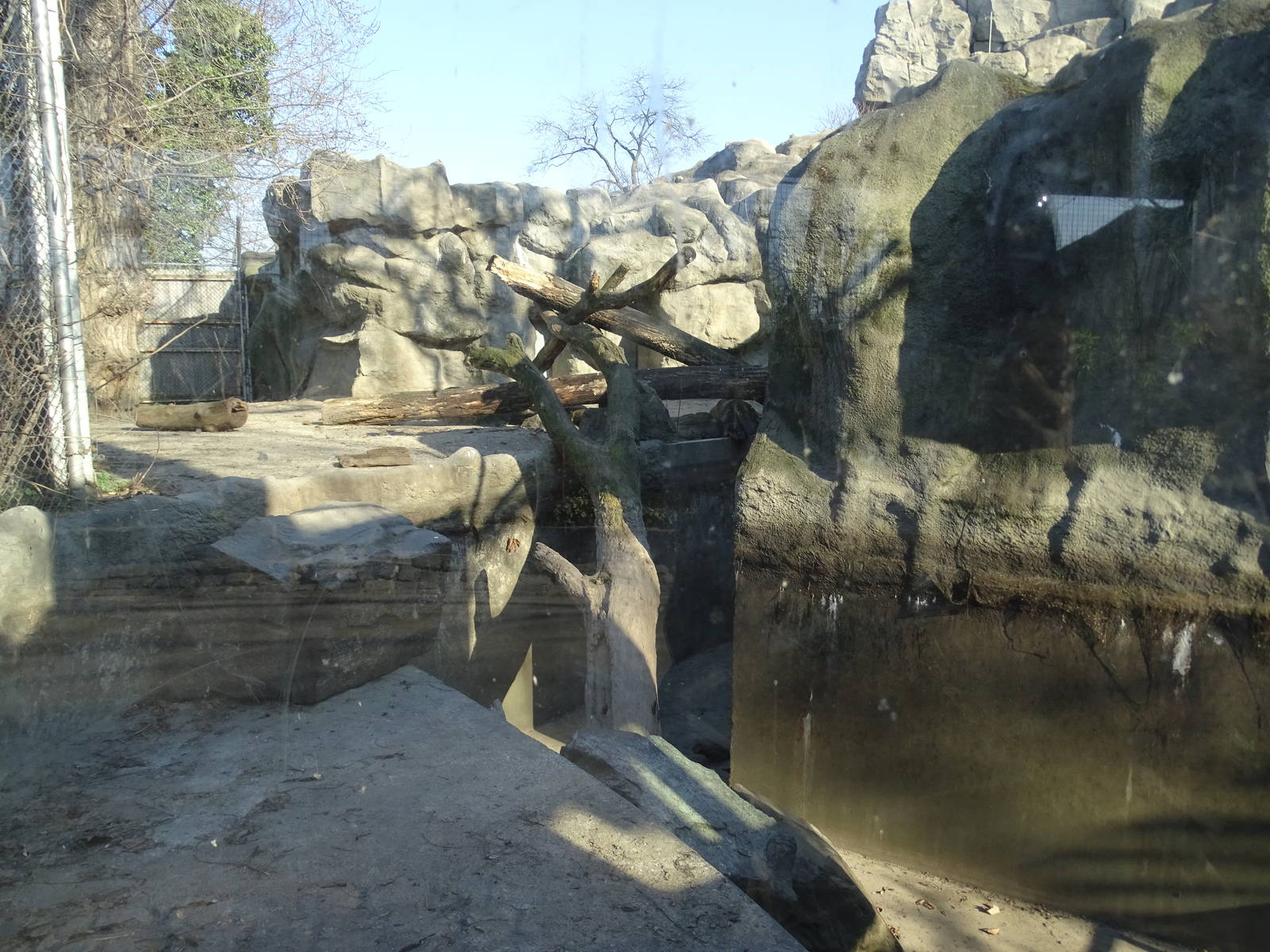 Part of the Syrian Brown bear enclosure