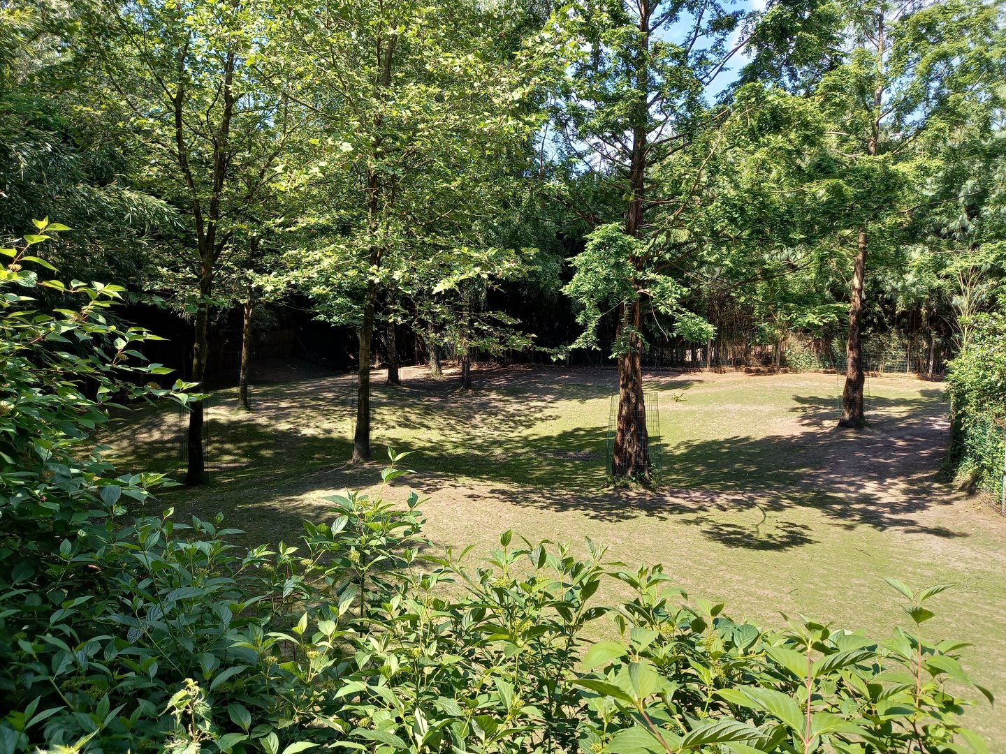 Part of the Tapir - Capybara enclosure
