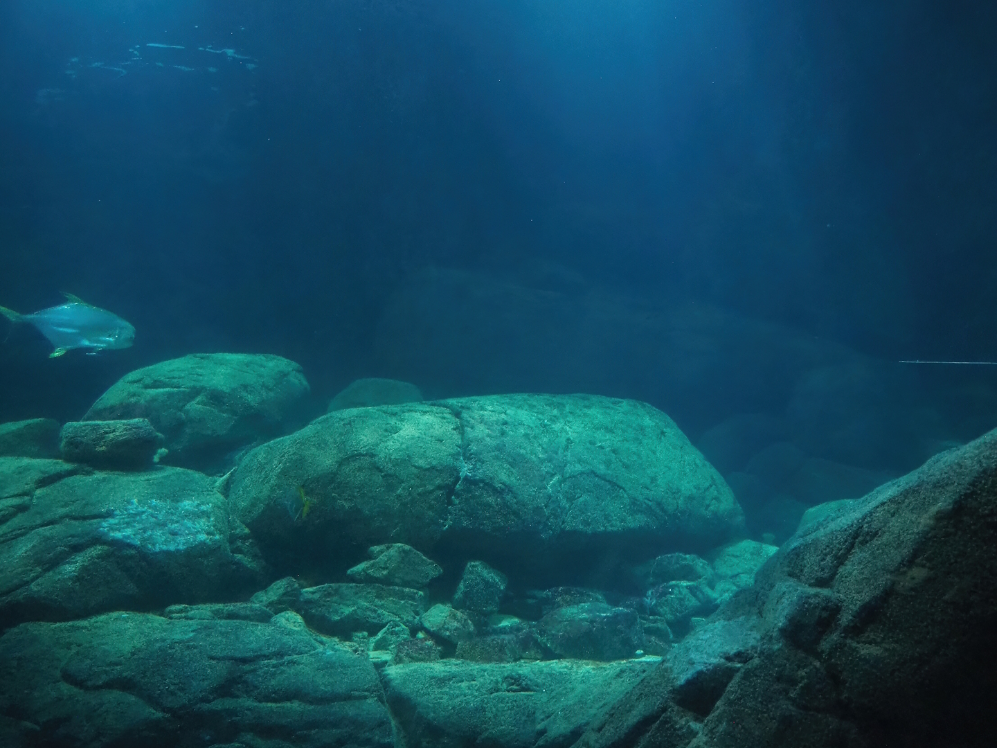 Part of the tunnel tank, 2023-10-07