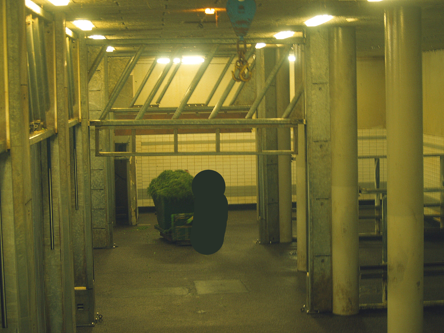 Part of the underground indoor housing for the Asian elephants, 2006-07-08