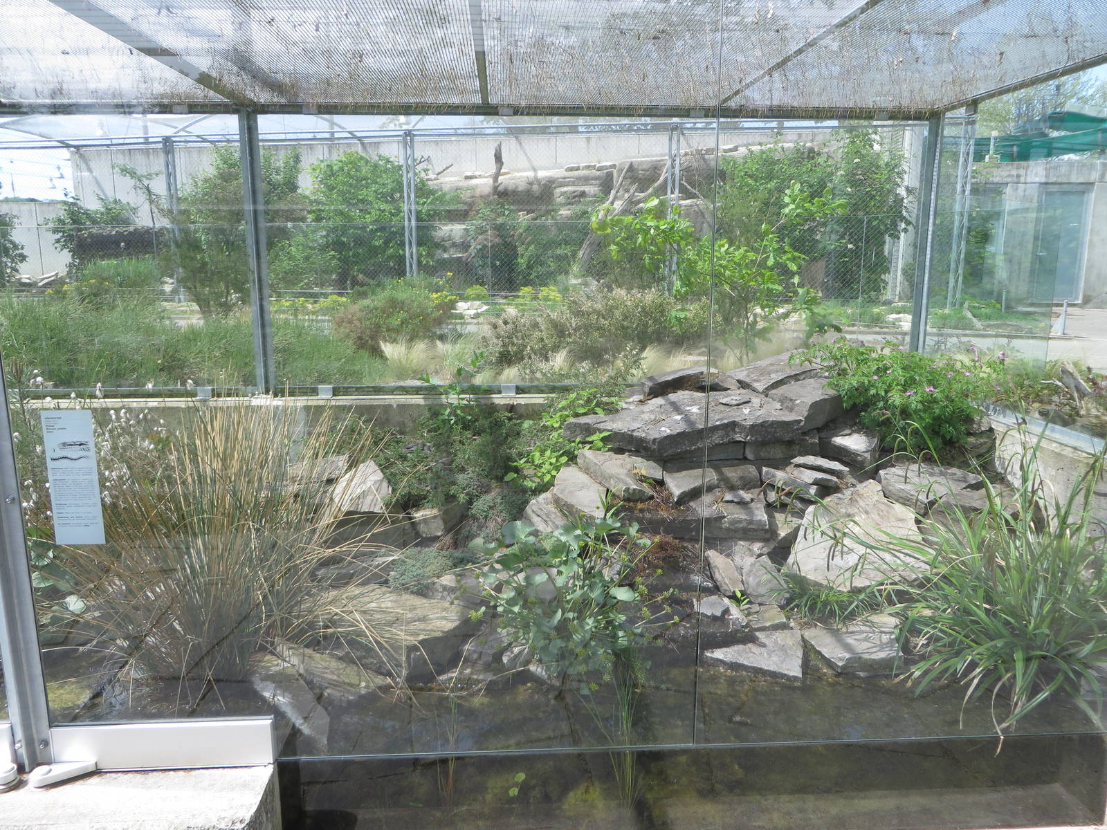 Part of the viper exhibit