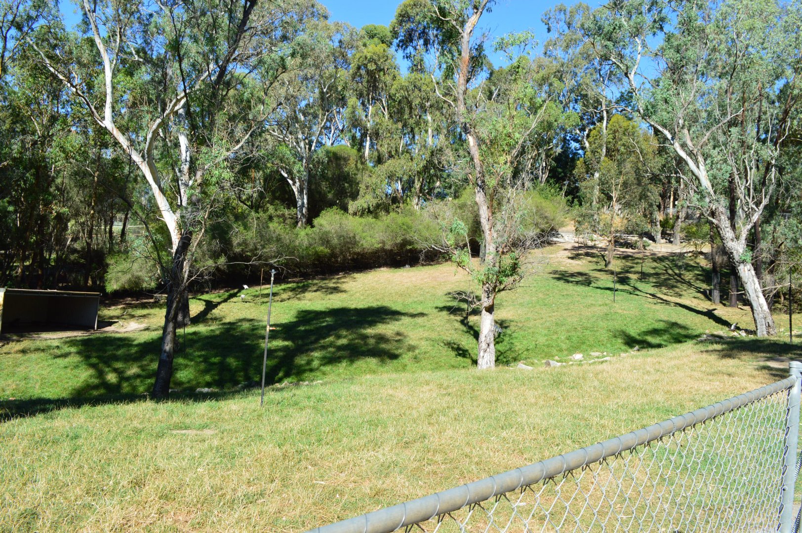 Part of the Walkthrough Kangaroo Yard