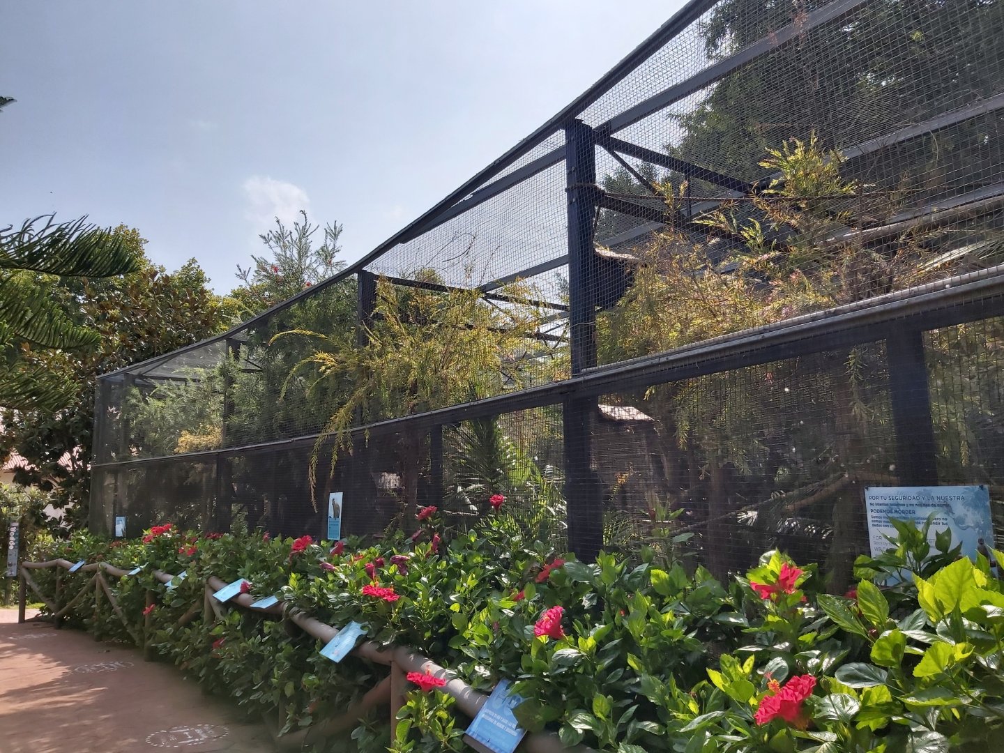 Part of the walktrough squirrel monkey enclosure (aviary)