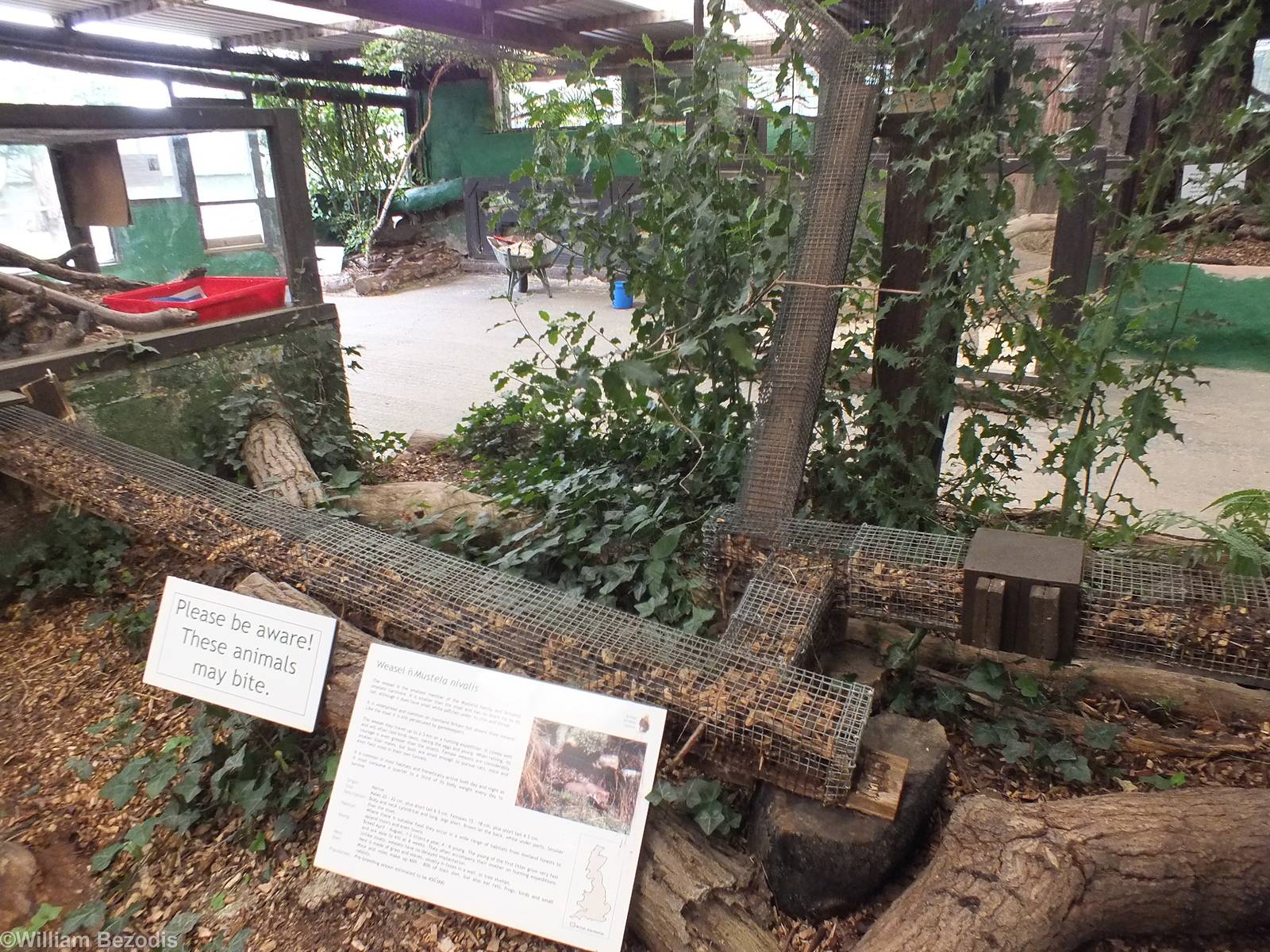 Part of the Walkway network for Weasel