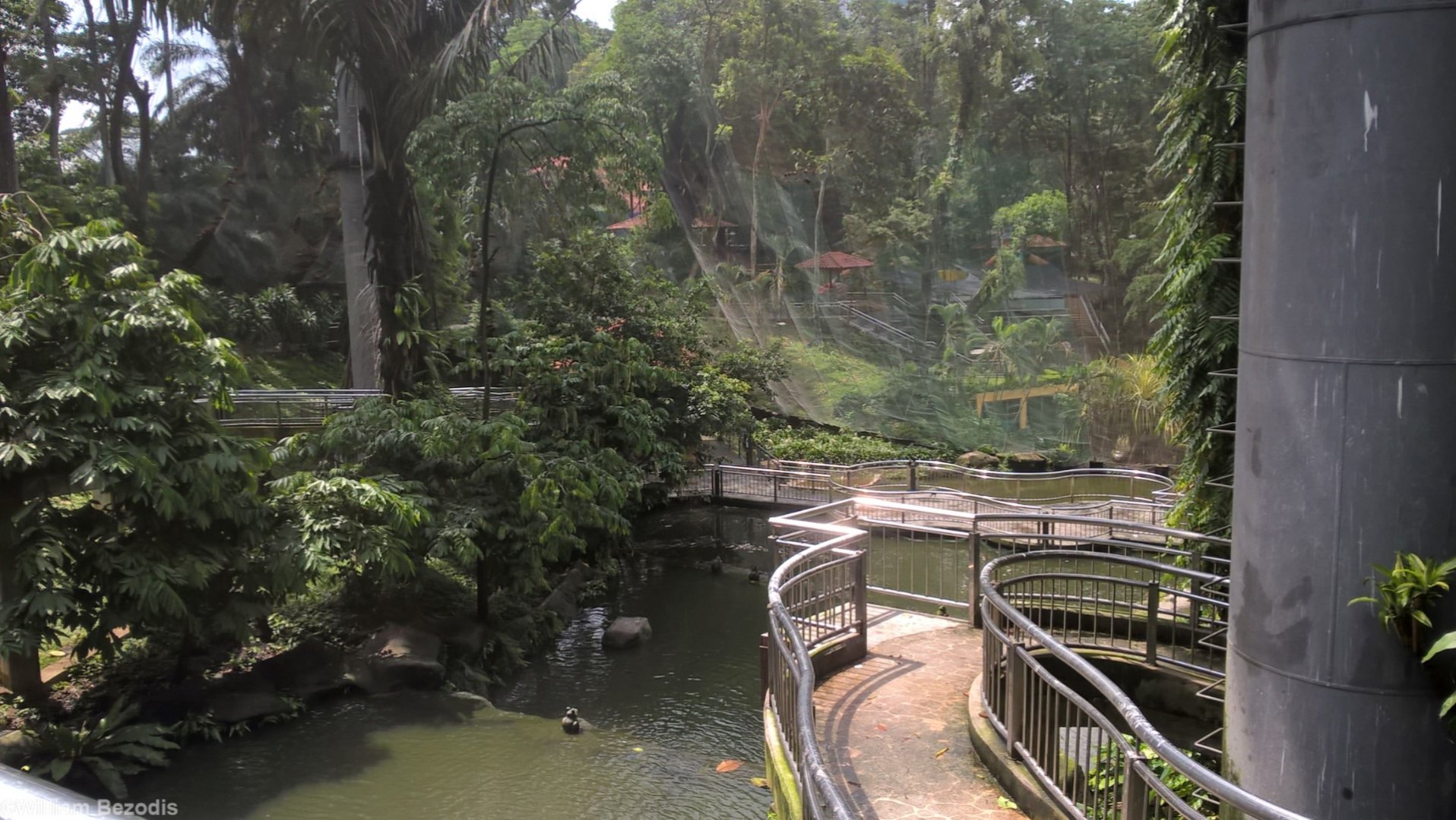 Part of the Water Area in the Main Walkthrough Aviary