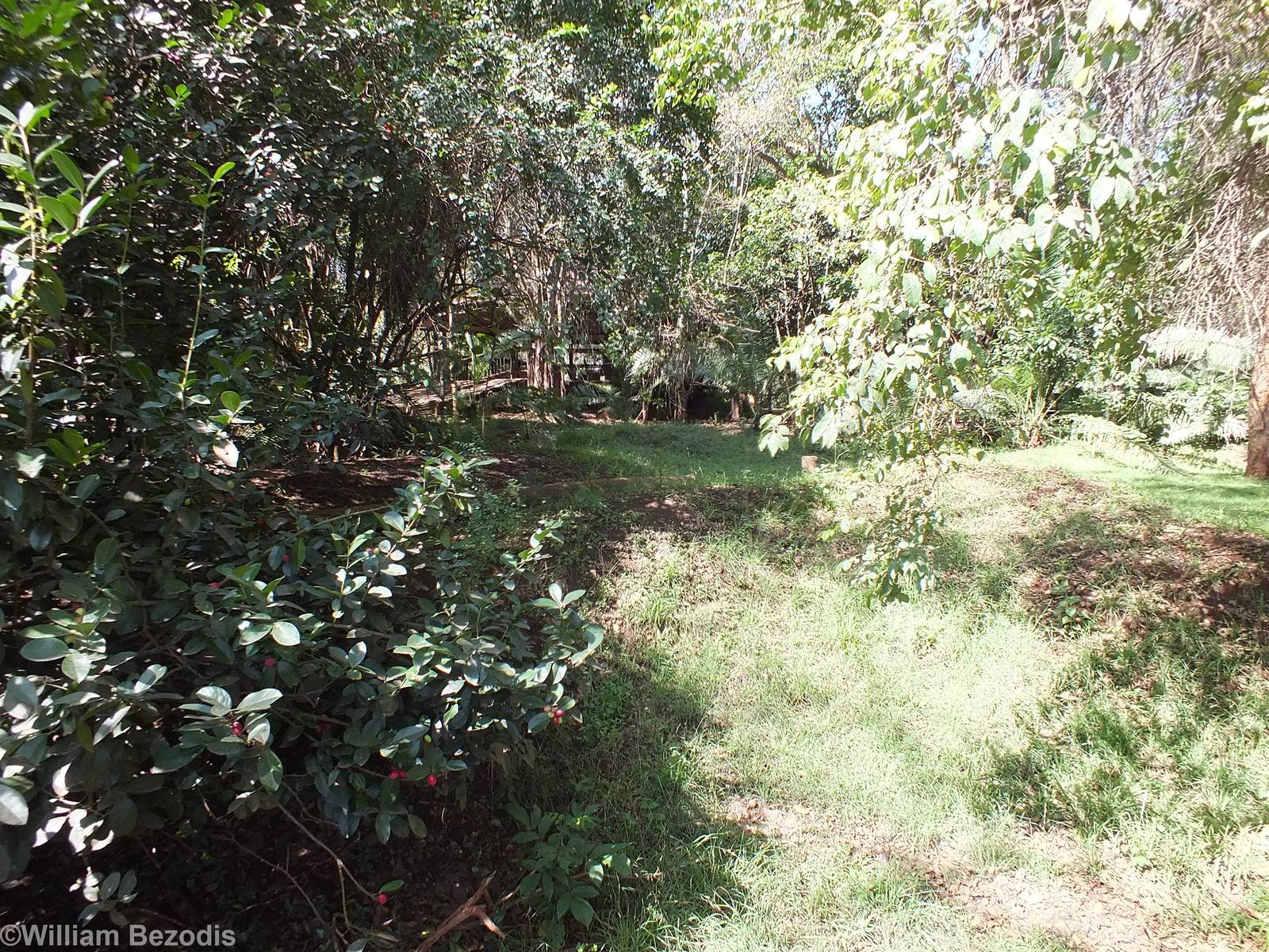 Part of the Waterfowl Enclosure - Nairobi Safari Walk