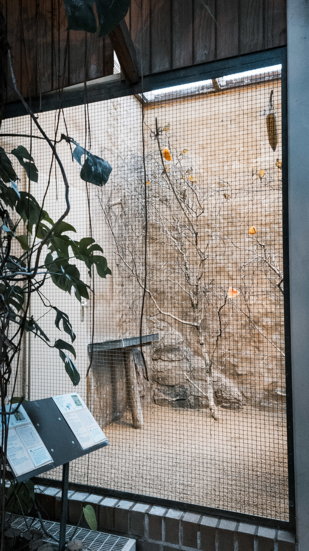 Part of the Weaver indoor area