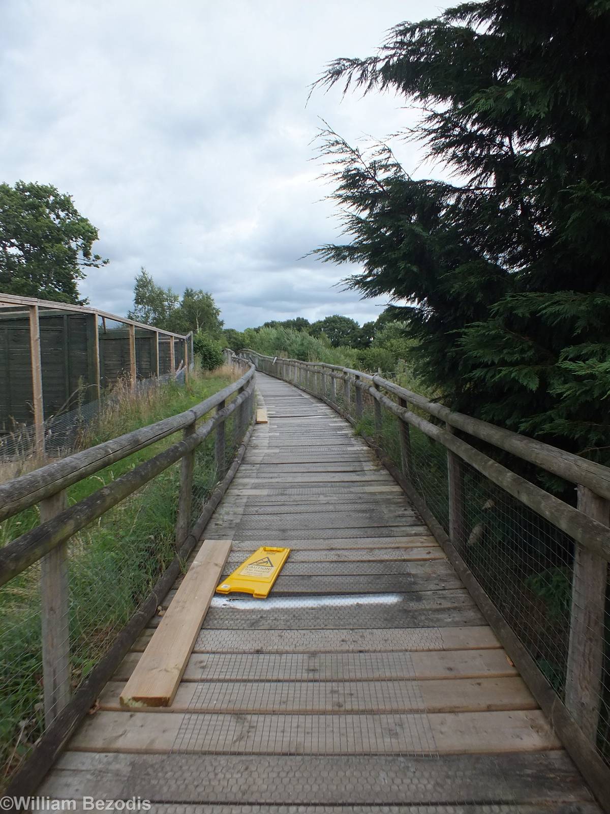 (part of) The Wetlands Boardwalk