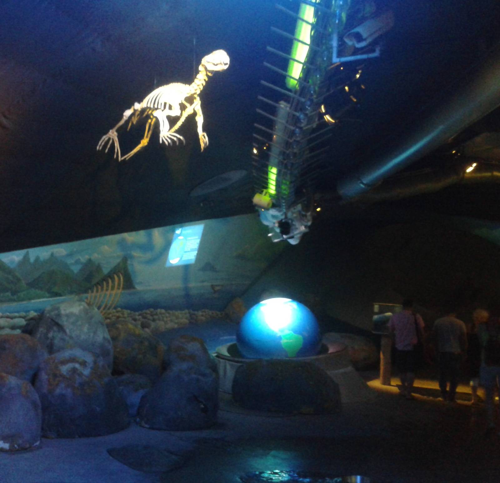 Part of the whale exposition