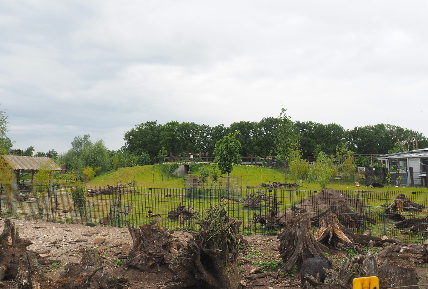 Part of the White-lipped peccary paddock and South American exhibit, 2022-05-17