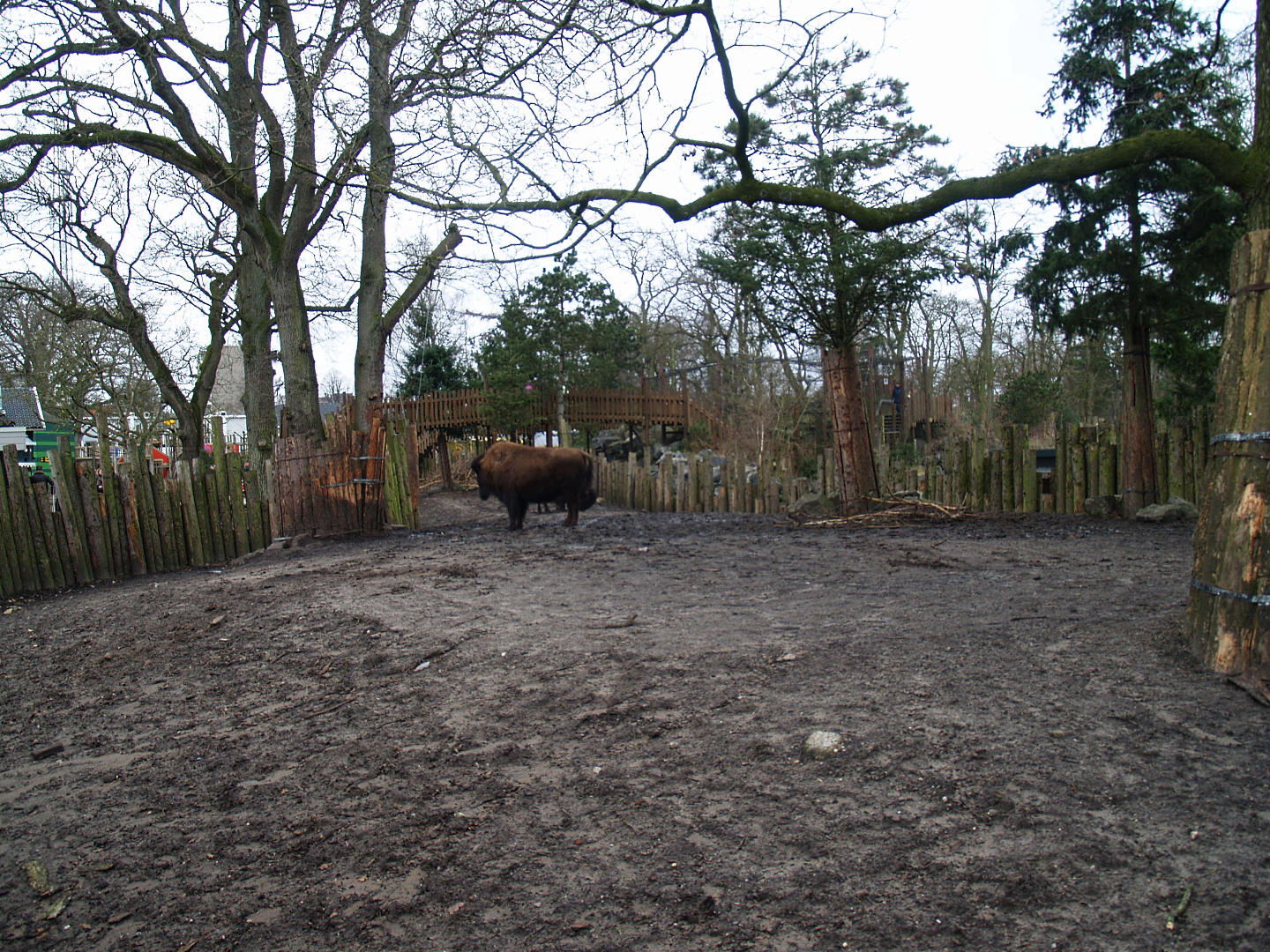 Part of the Wild West exhibit, 2008-03-01