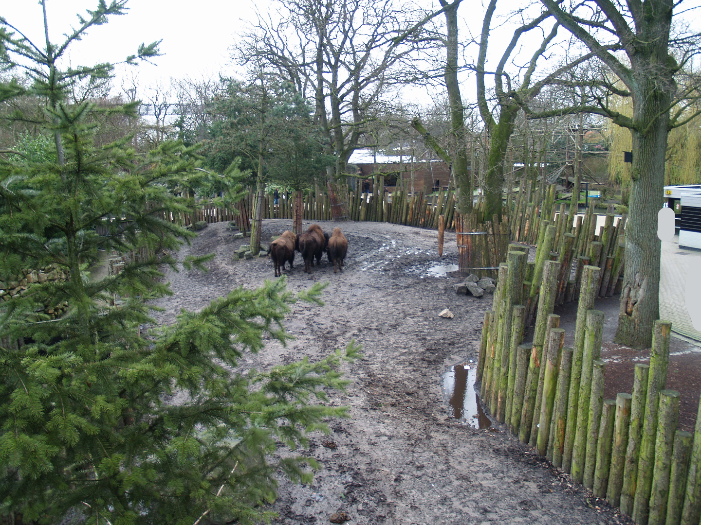 Part of the Wild West exhibit, 2008-03-01