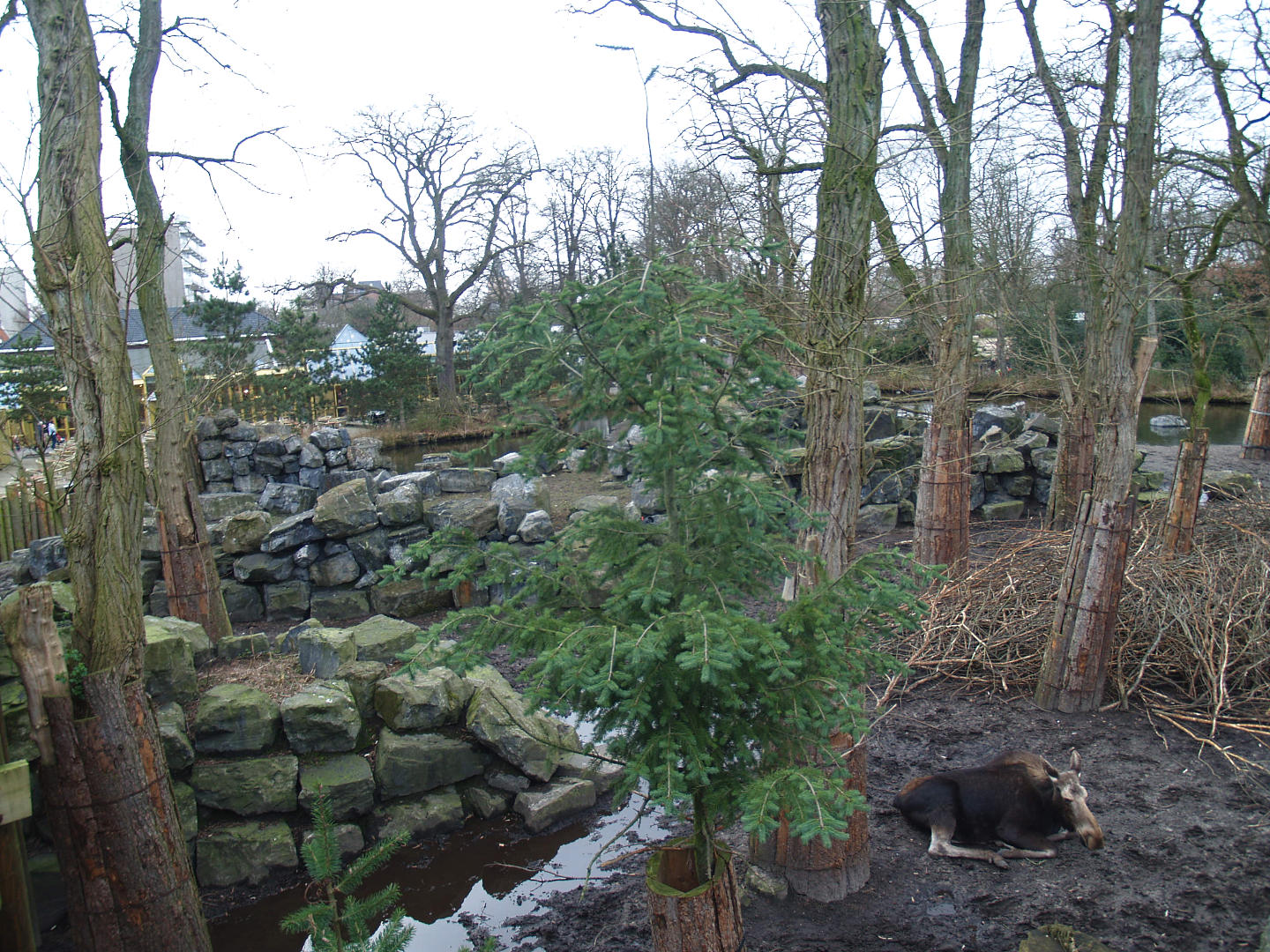Part of the Wild West exhibit, 2008-03-01