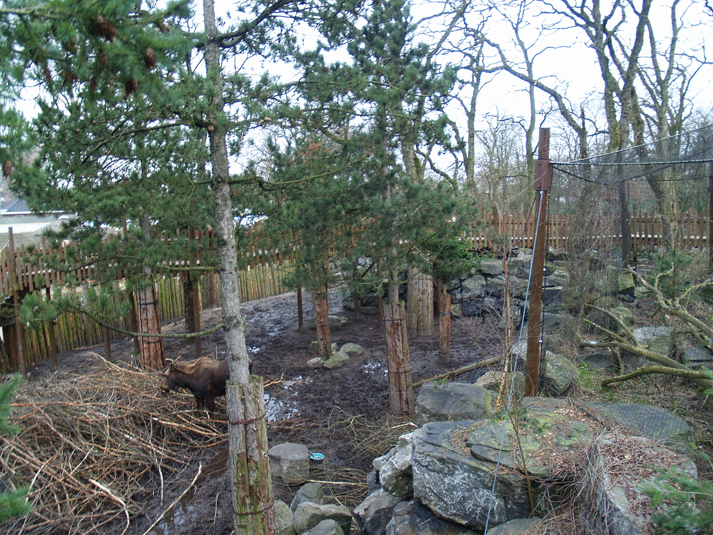 Part of the Wild West exhibit, including part of the Great grey owl aviary, 2008-03-01