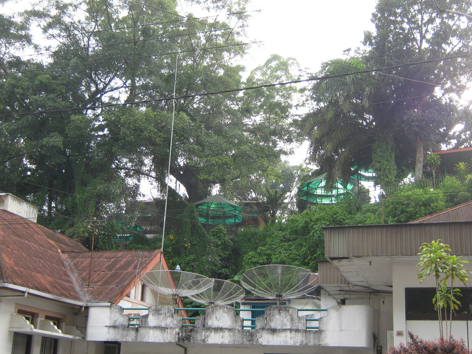 part of the zoo as viewed from the street below