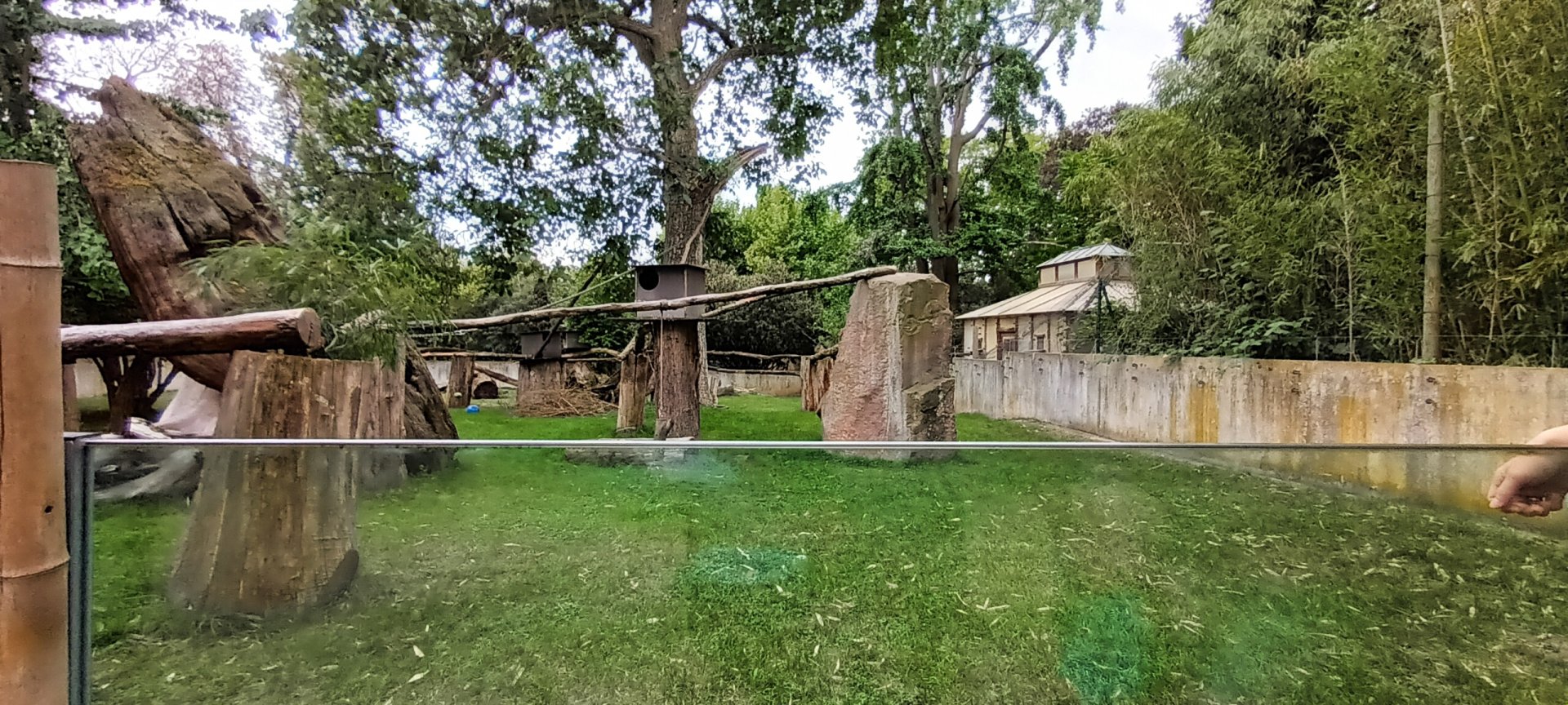 part of Tufted Deer and Red Panda Enclosure