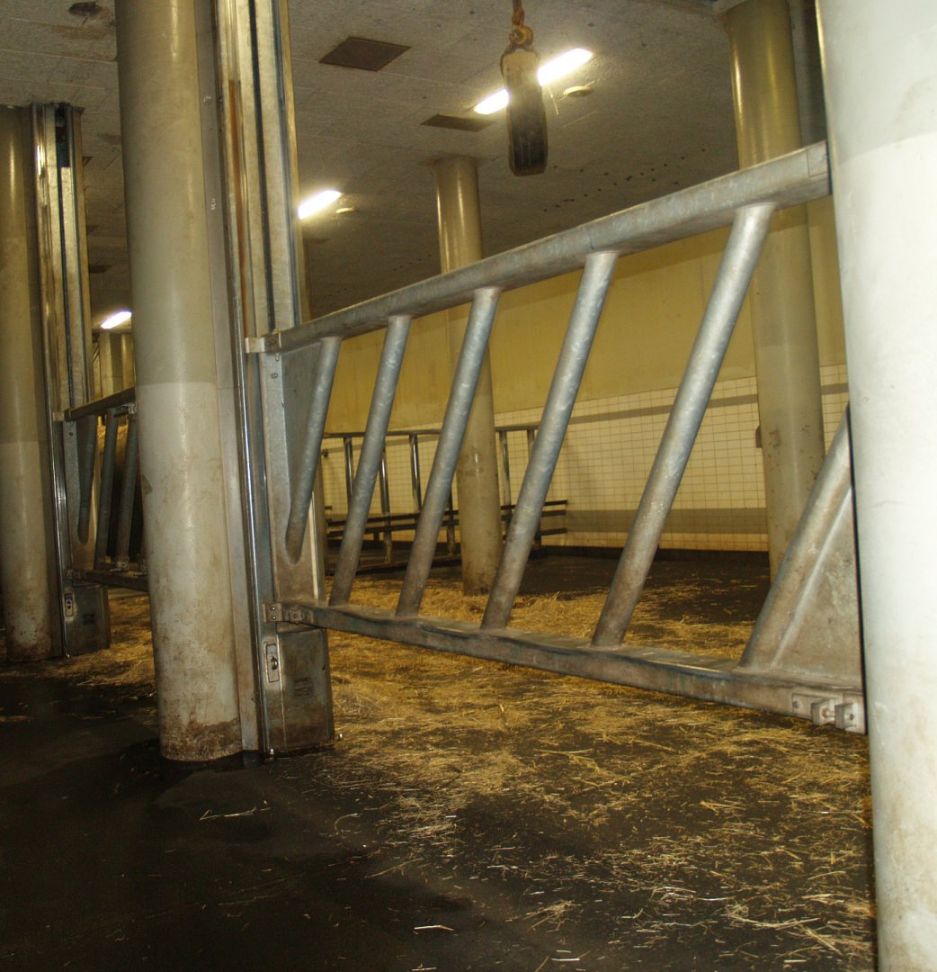 Part of underground Asian elephant stables, 2008-03-01