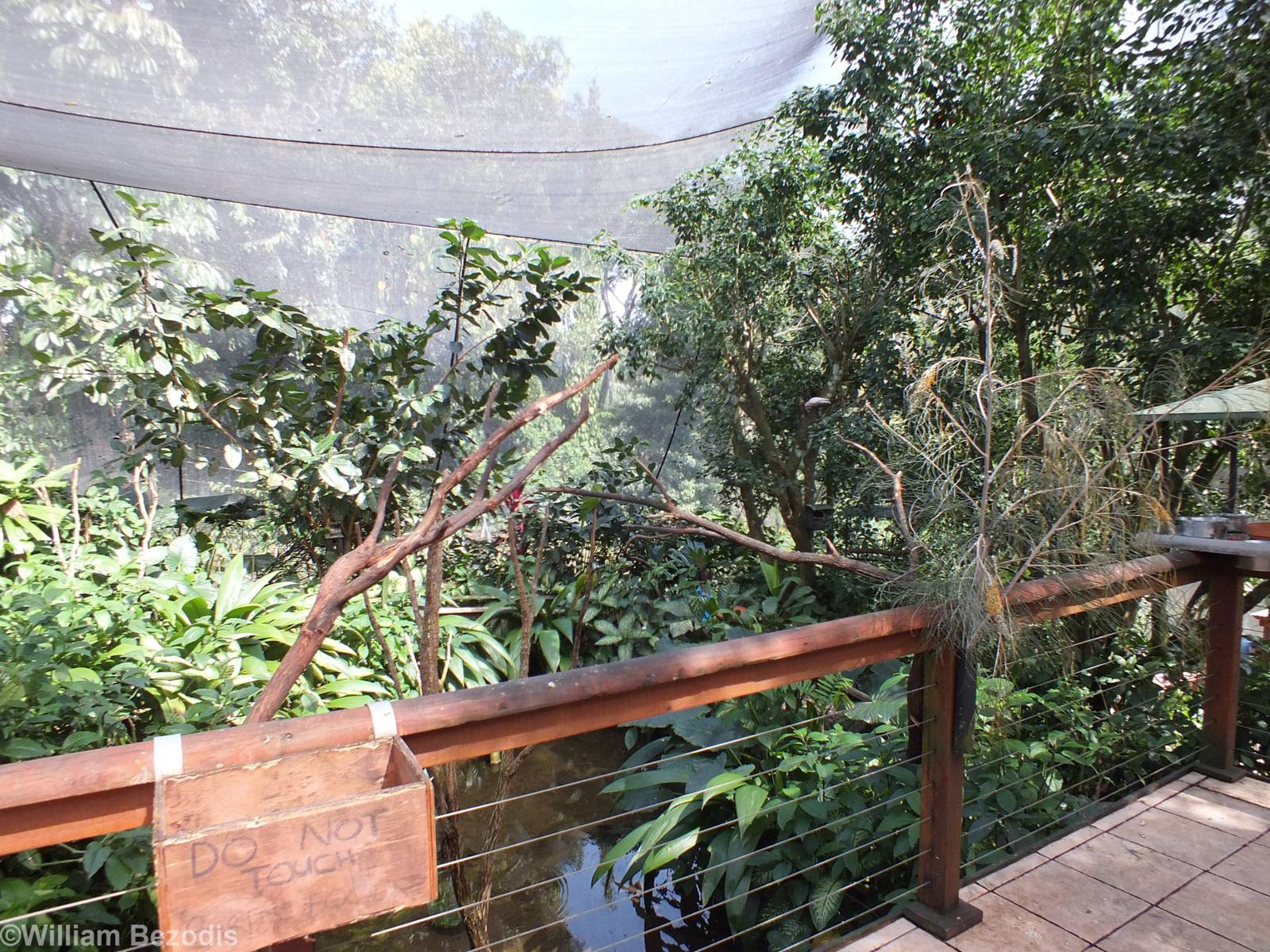 Part of Upper Area of Aviary