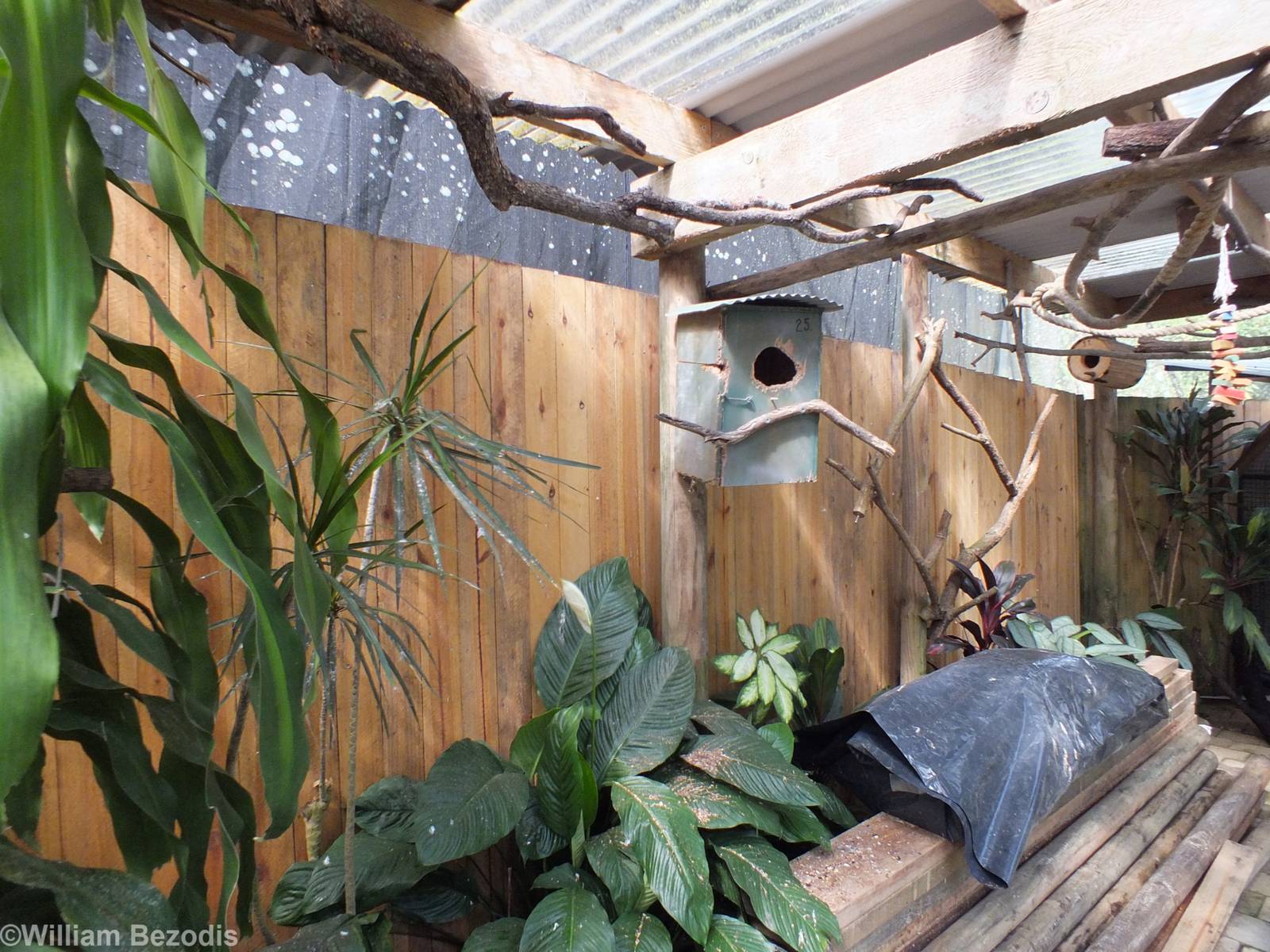 Part of Upper Area of Aviary