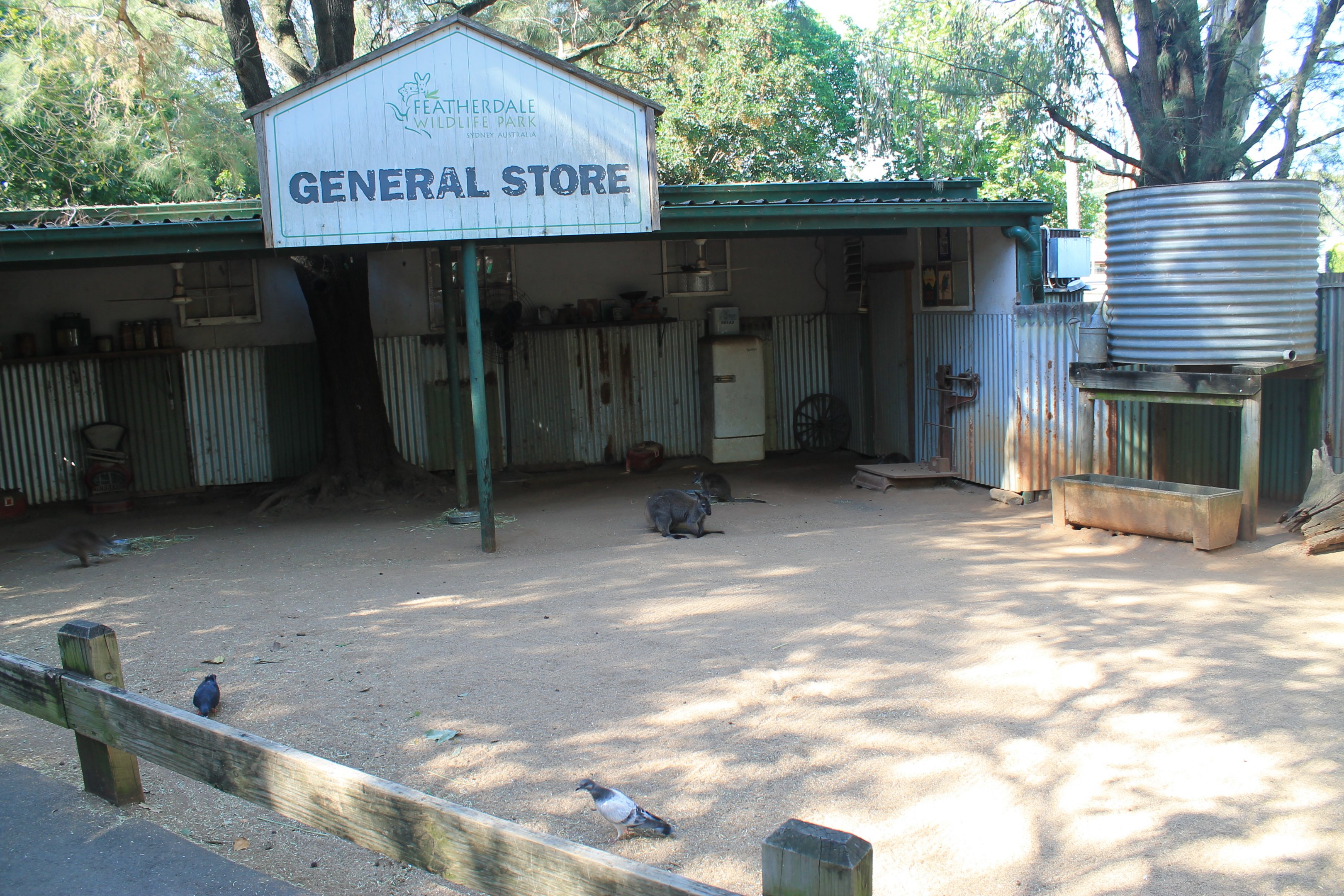 Part of walk-through wallaby enclosure