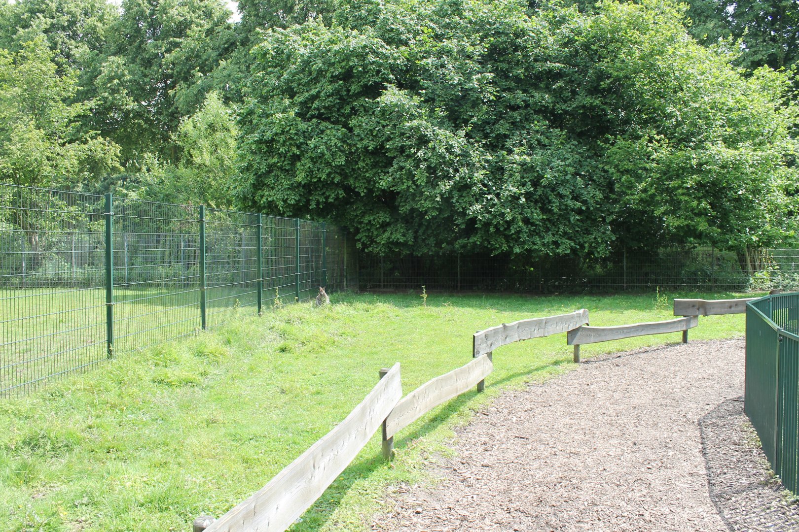 Part of Wallaby-walk-through