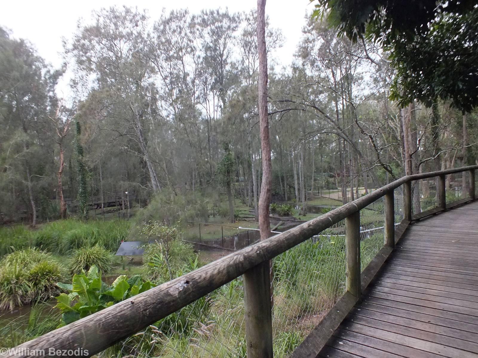 Part of Wetlands Area
