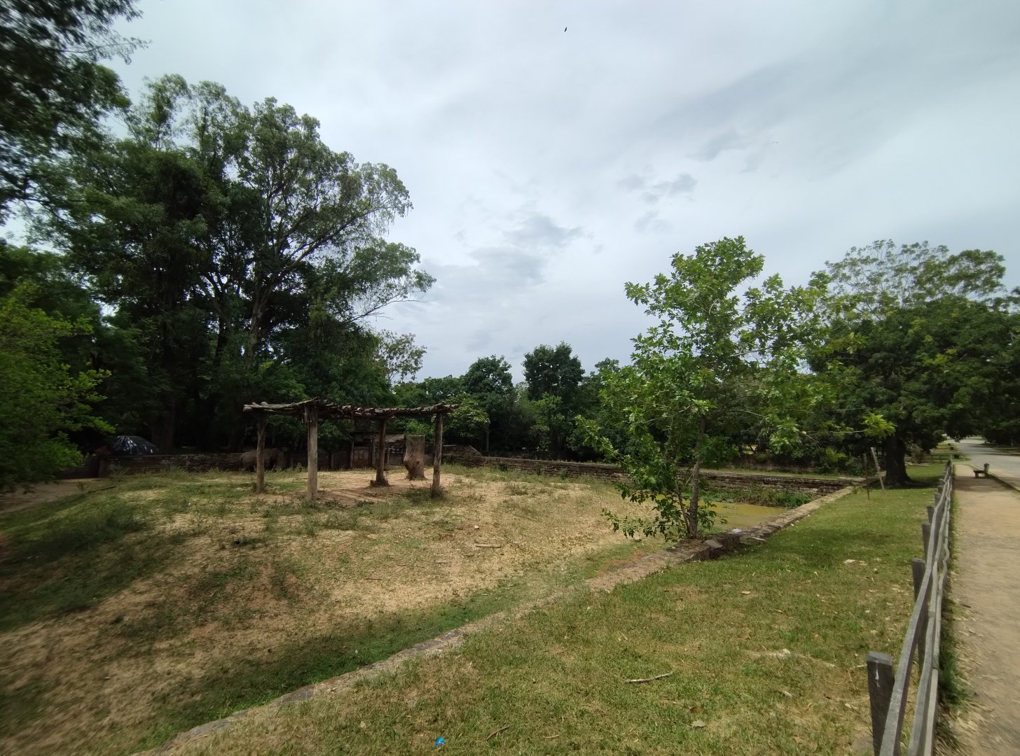Part of white rhino exhibit - Zoo Sapucaia