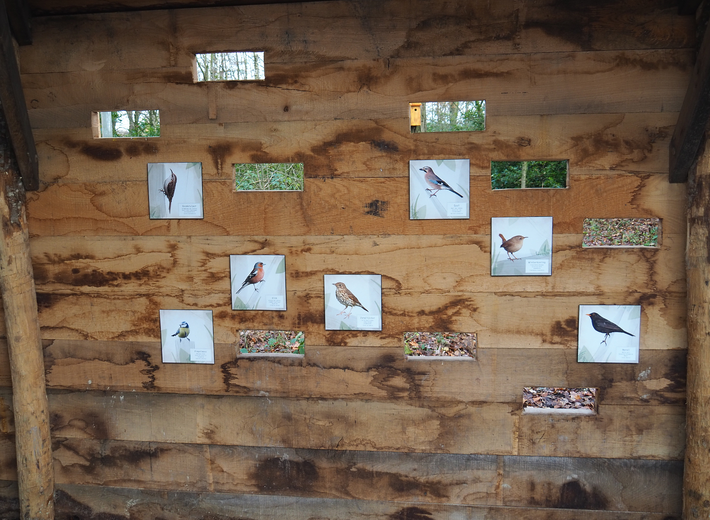 Part of wildlife viewing wall with viewing slots for wildlife feeding area and native bird signage, 2021-12-07
